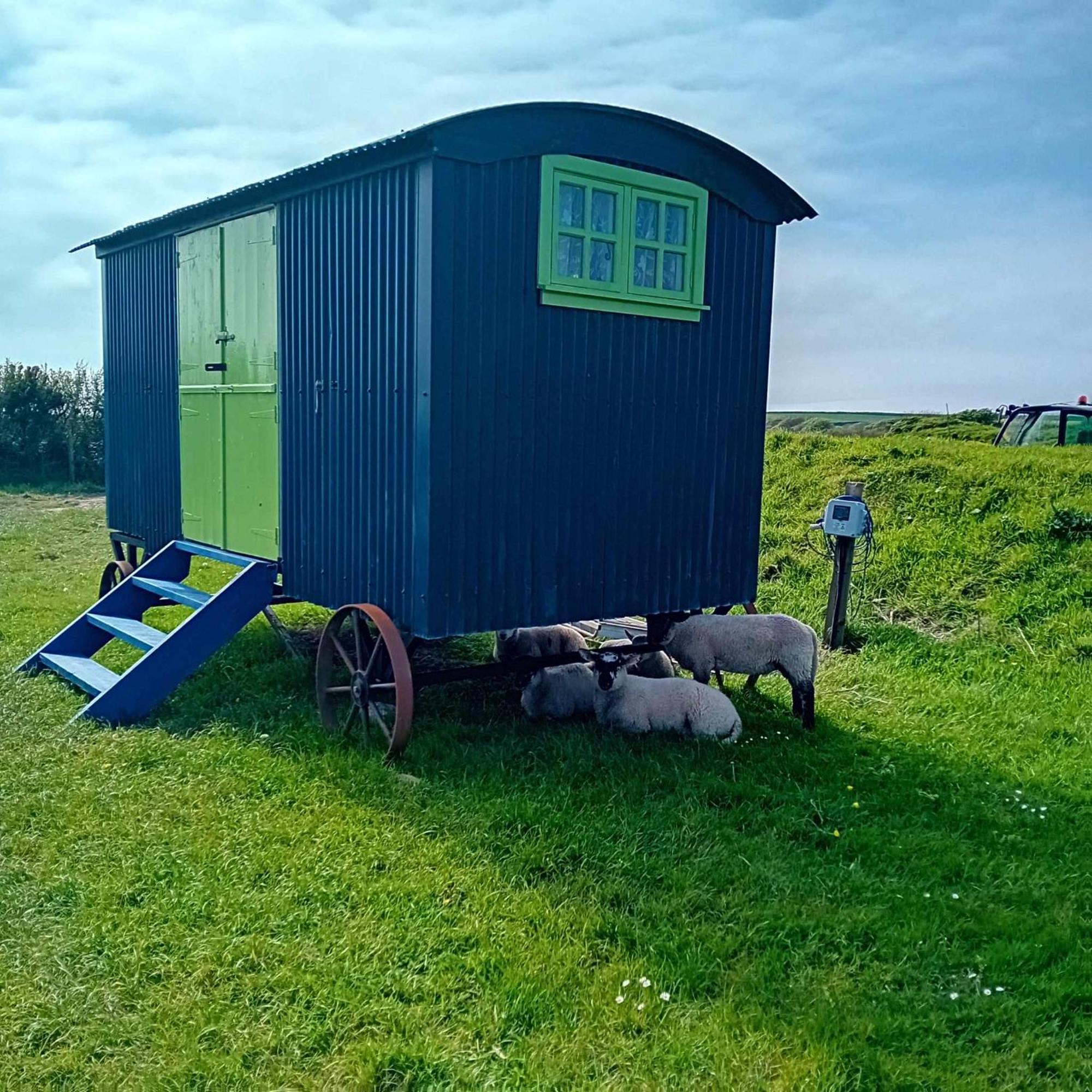 Coast Path Camping Saint Ishmaels  Exterior photo