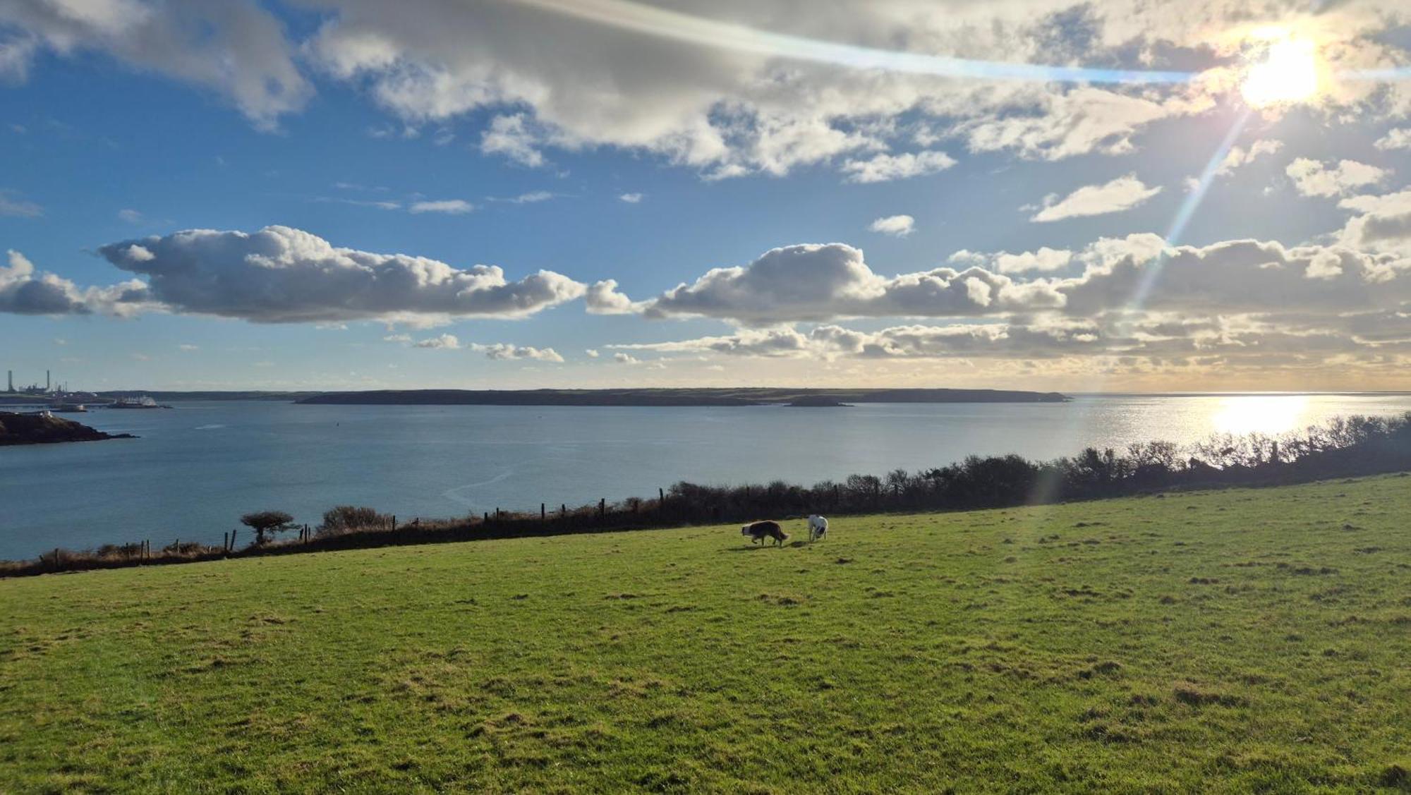 Coast Path Camping Saint Ishmaels  Exterior photo